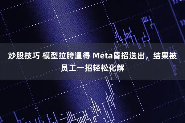 炒股技巧 模型拉胯逼得 Meta昏招迭出，结果被员工一招轻松化解