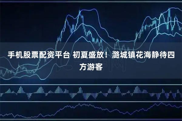 手机股票配资平台 初夏盛放！潞城镇花海静待四方游客